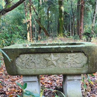 ☆意味は？ 弾除け？