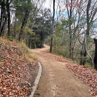 あまの街道での目的は達成🎊さて、どこまで歩こうかな？タイムリミットを確認しながら、行けるトコまで行くぞ！