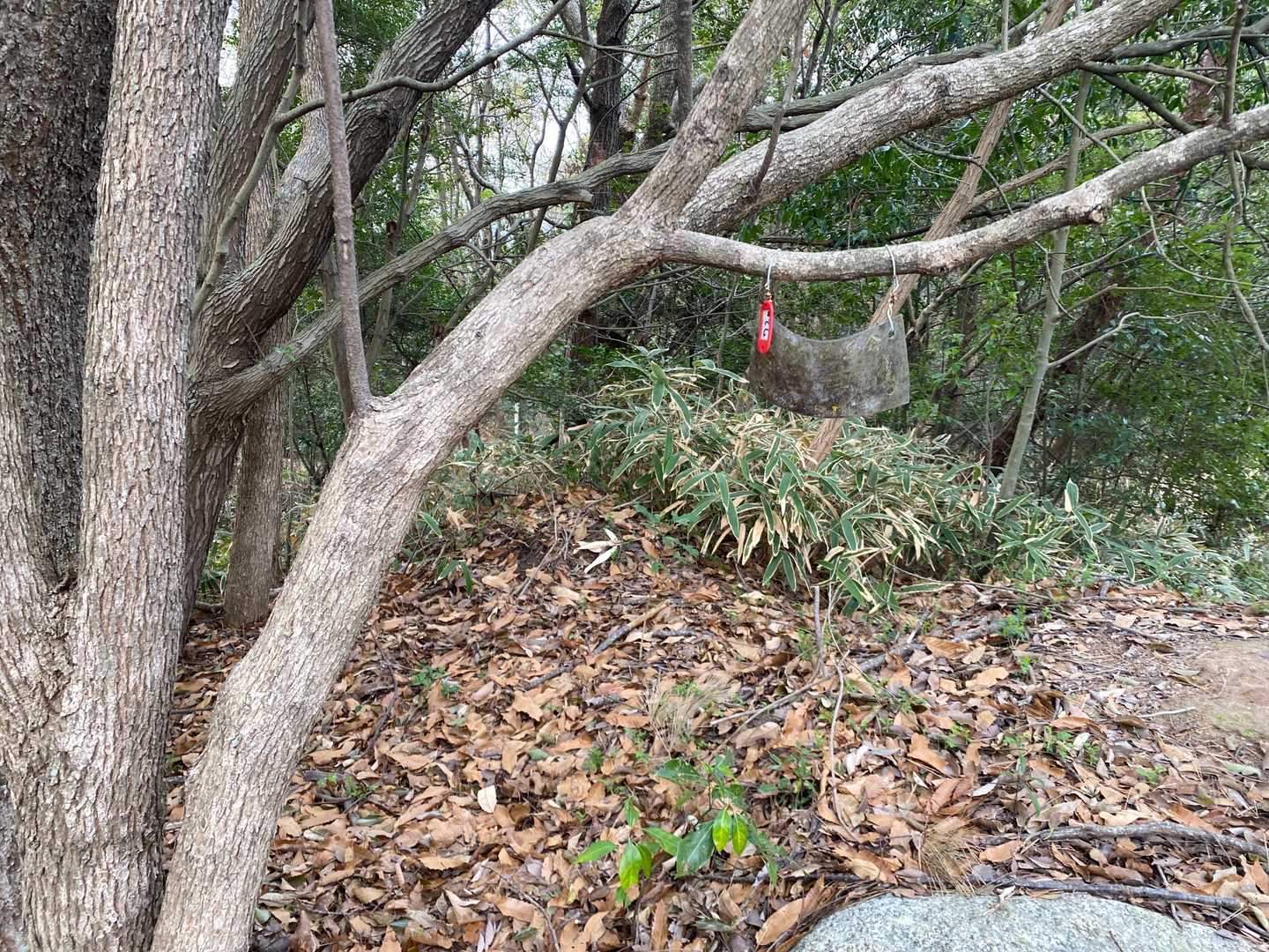 興昌寺山の山頂標識があります。
この山は石像や祠が多数あります。