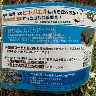 蛇には出会わなかった