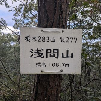 山頂経由の尾根道と、山頂直下を巻く道とありますので分岐に注意。

山頂には浅間山の標識。
YAMAPではこちらは富士山。