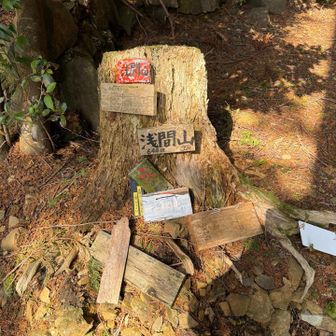 賑やかな山頂プレート