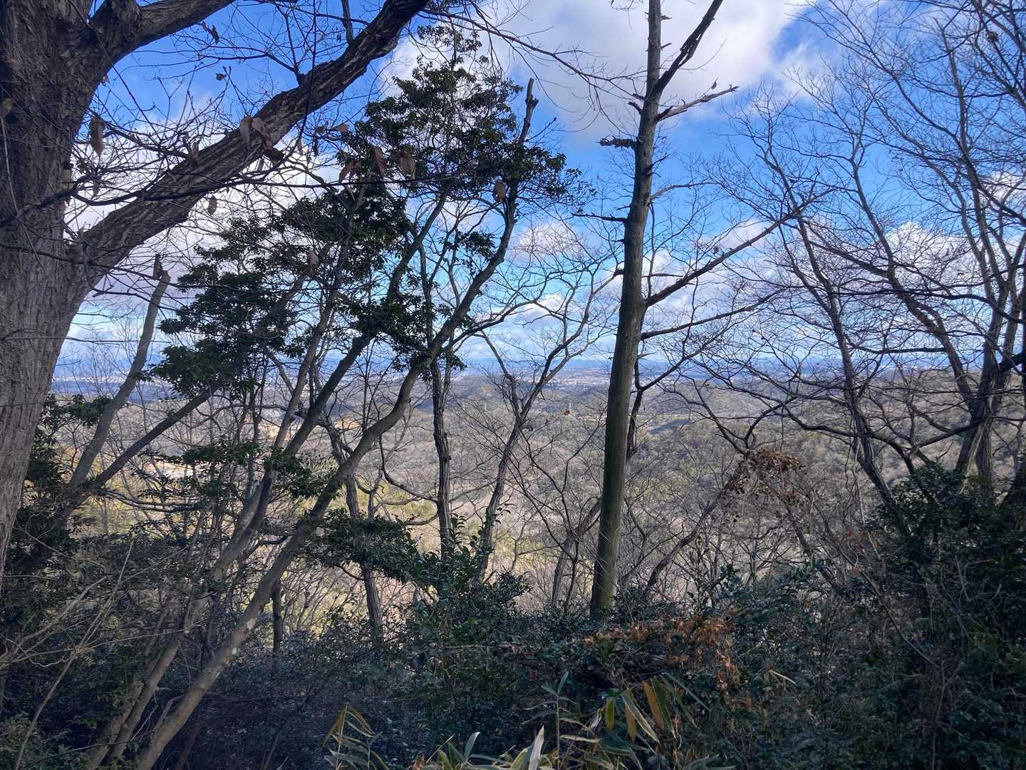 木々の向こうに海が見えます🌊