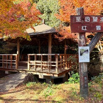 
　提案してよかったな、、、

