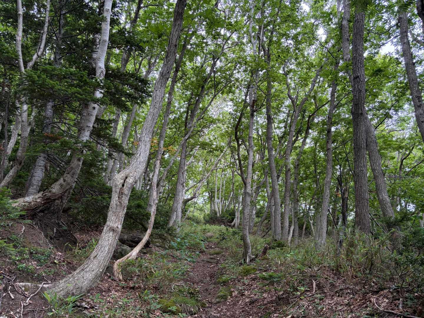 無事下山です

夢の時間は終わりました😢
