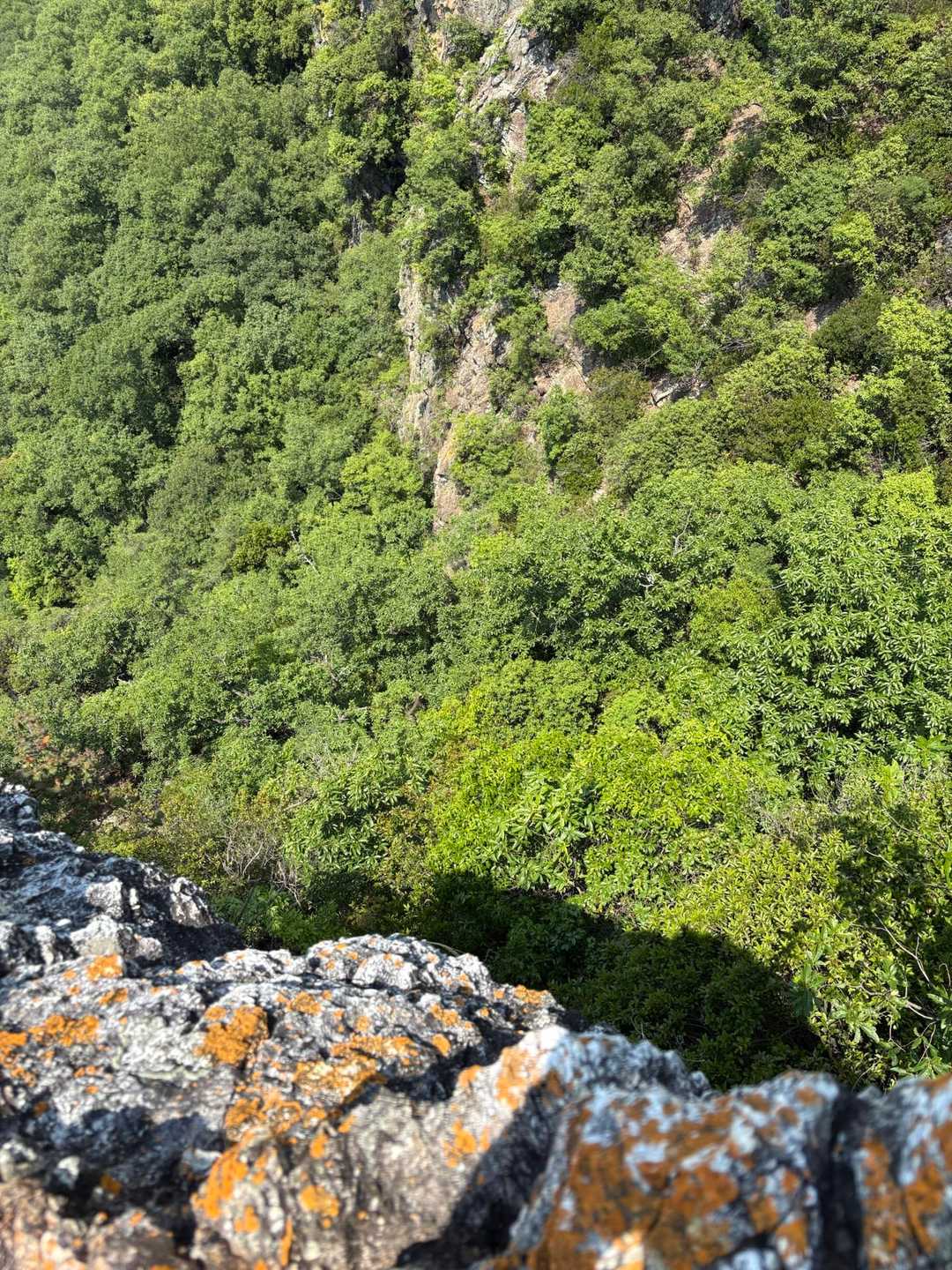 向山は岩戸山