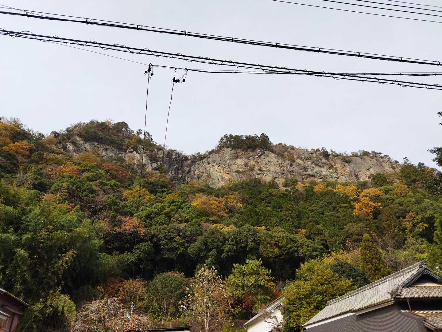 遠見山登山口-遠見山 周回コースの写真