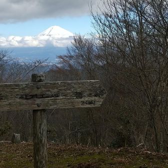 高ドッキョウ 山頂