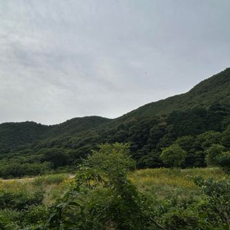 もう少し先にも山が続いていたけど、今回は岩場を通って下りました。