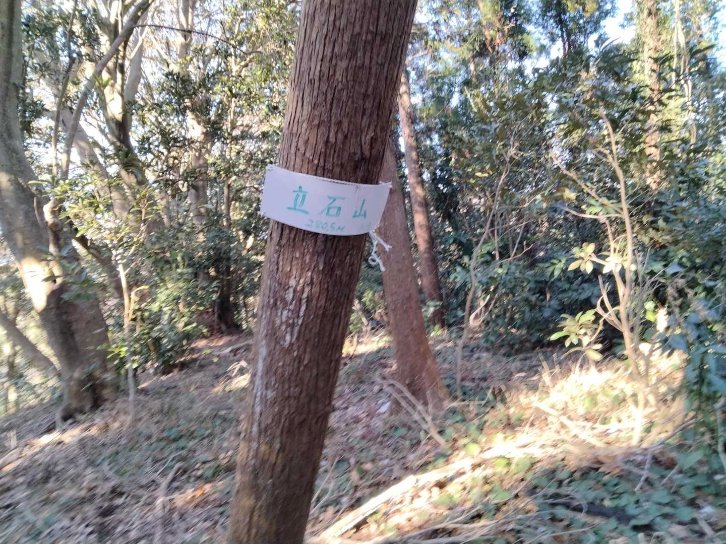 立石山