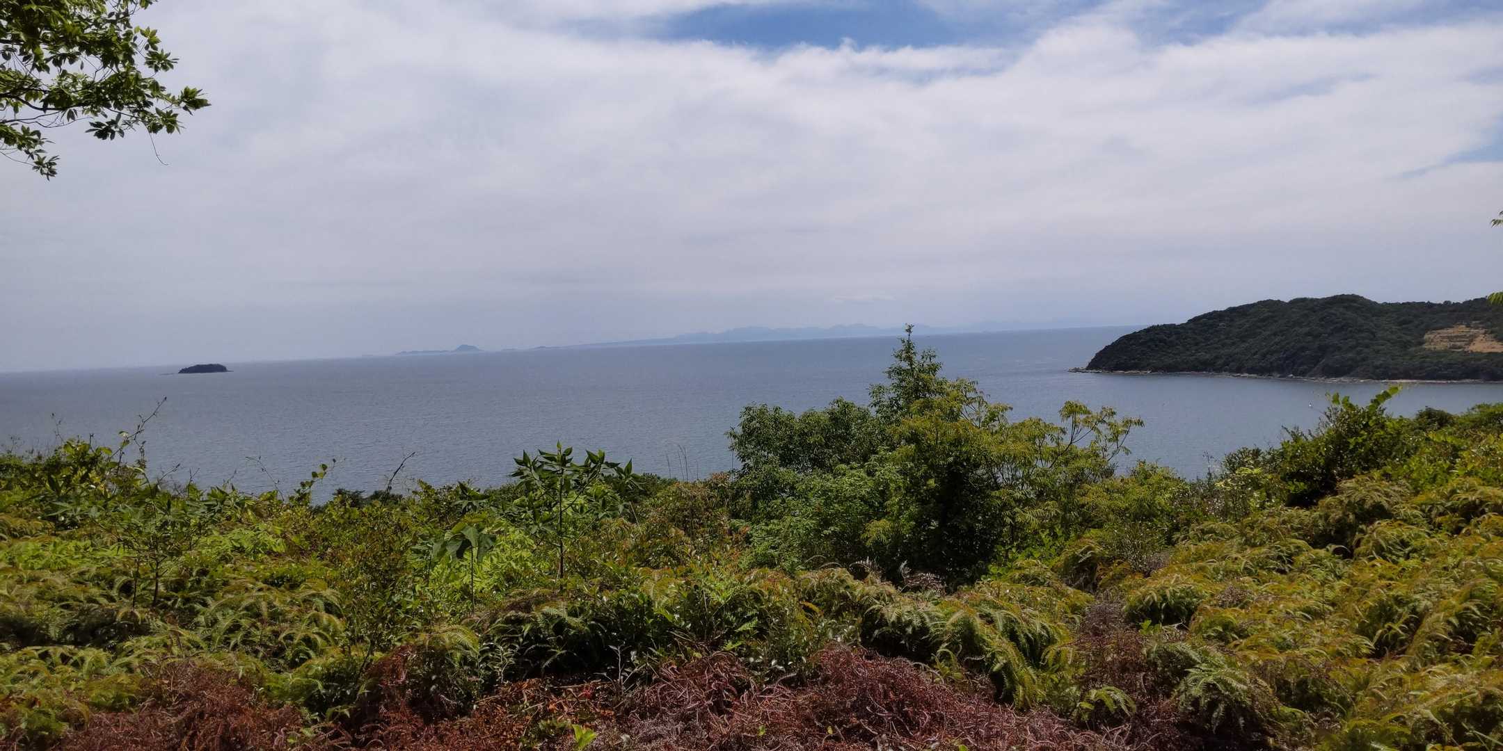 赤崎神社-小浜山登山入口-小浜山-日地登山口 周回コースの写真