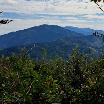 大和葛城山と金剛山⛰️🗻