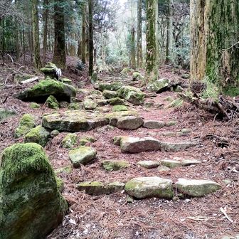 こちらは👹がこしらえた階段