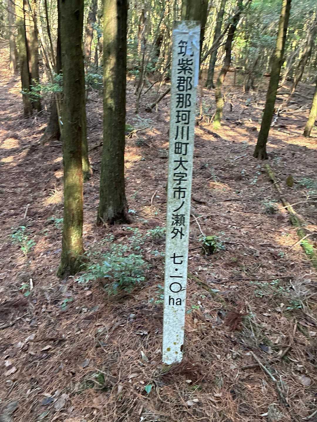 福岡市から近いのに山深い良い森です。