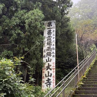 雨っすね
