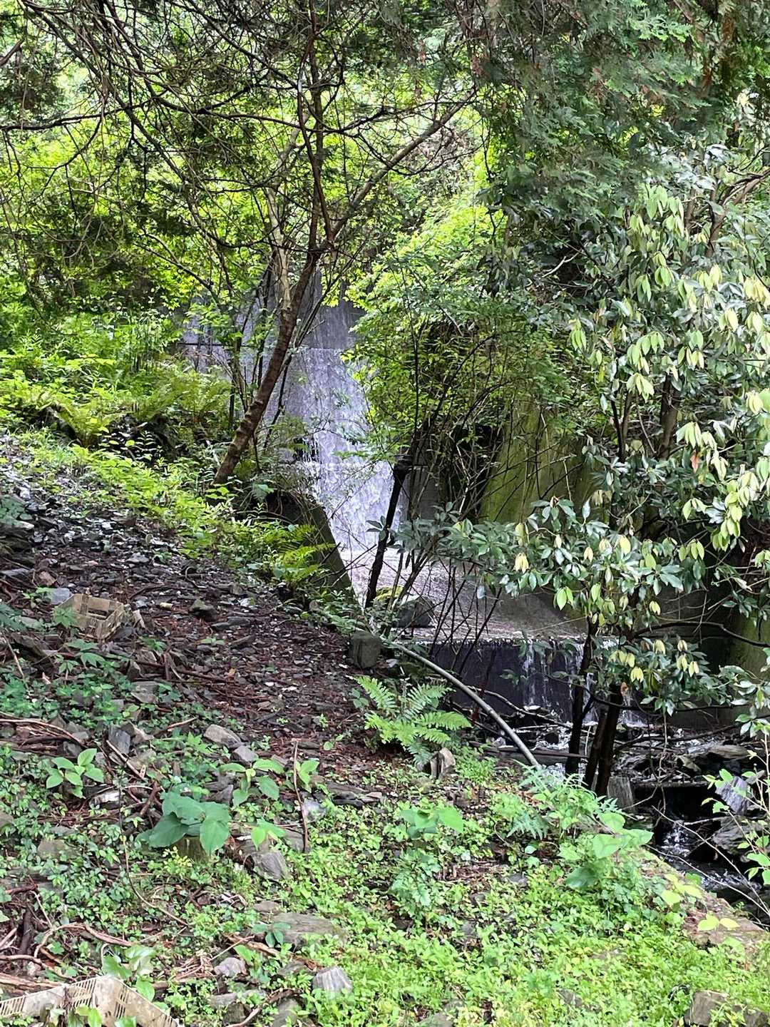 湿度高くて暑い💦
堰堤の水が流れてるところは、空気が冷たくて気持ちよかった(∗ˊ꒵ˋ∗)