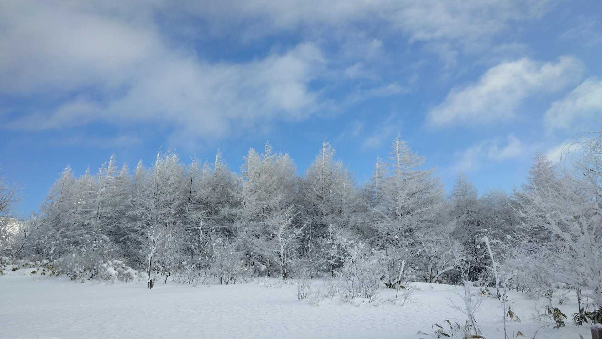 アザリアの丘のとこの霧氷❄