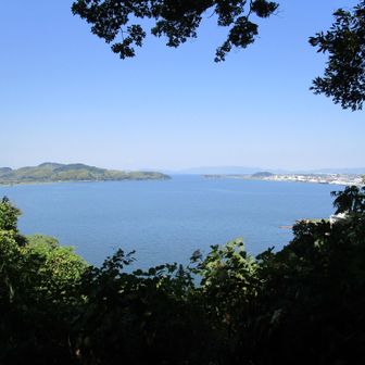 中海が見えました。