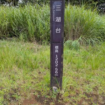 到着🏕️
山頂は広く見晴らしのデッキがあります