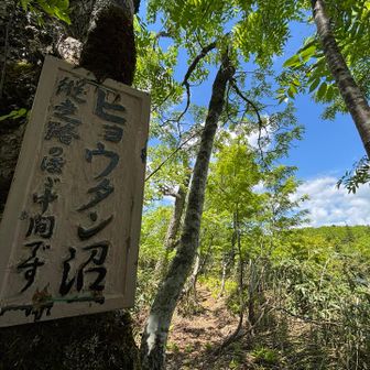 縦走路の中間
長かった💦