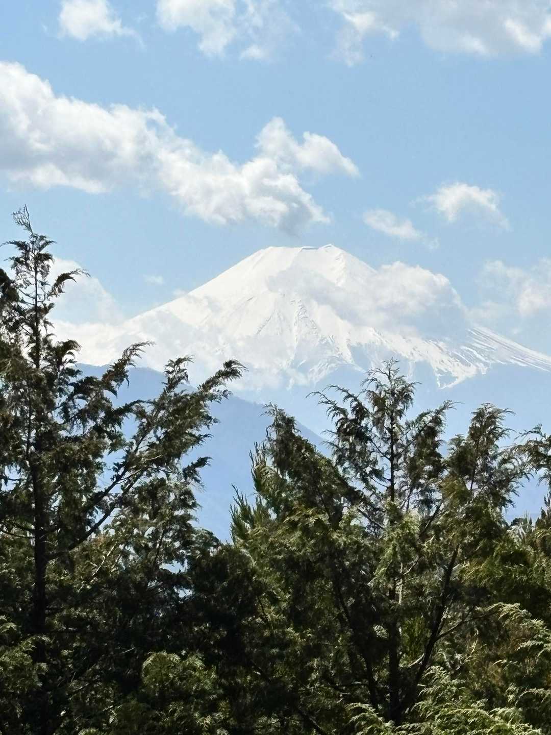 猿橋駅-厄王山-馬立山-札金峠-紺屋の休場-九鬼山-大ビラ 縦走コースの写真