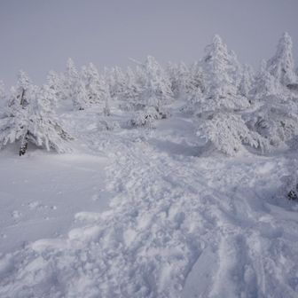 西吾妻山のピークもよくわからなかった…