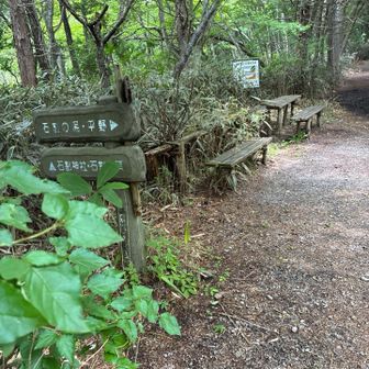 ここから山道