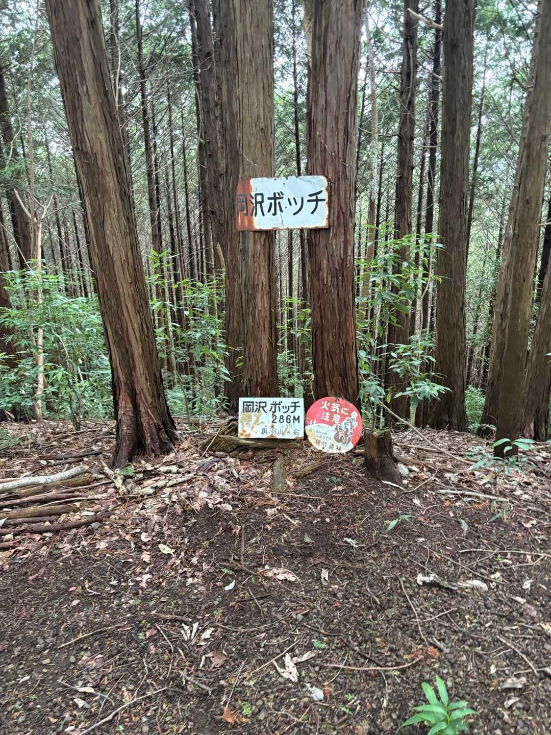 わたしもボッチ😅