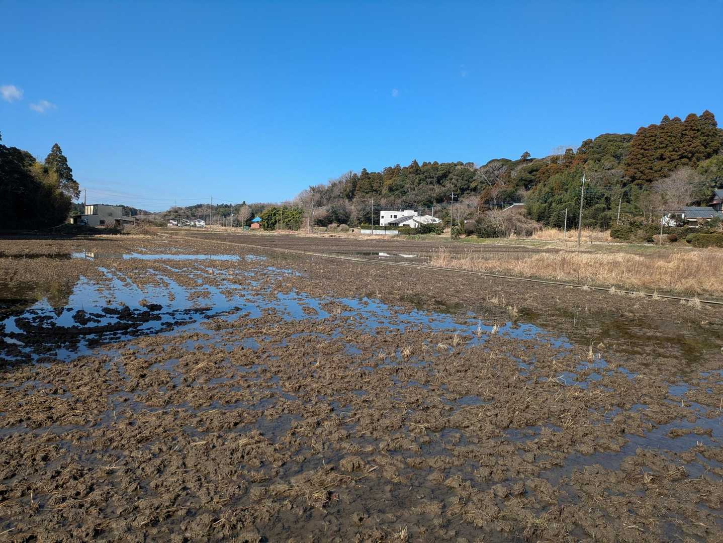 これから田植えシーズン🌾

地元の方に声をかけられました

イノシシ凄いから気をつけて
奴らは犬の鳴き声が嫌いだから、襲われそうになったらスマホで犬の鳴き声かけるといいよ、子連れには注意して

‥‥さっき歩いてる時、
イノシシらしき物体にあいました
凄い勢いで逃げてったけど
