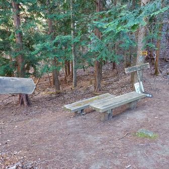 岩堂峠。
薄暗く、座って休憩する気にはなれず😅