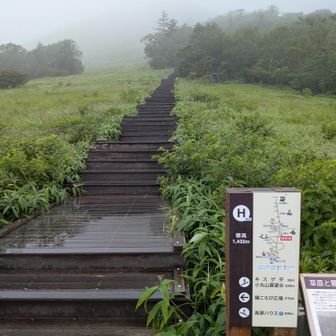 1445段の始まりです。