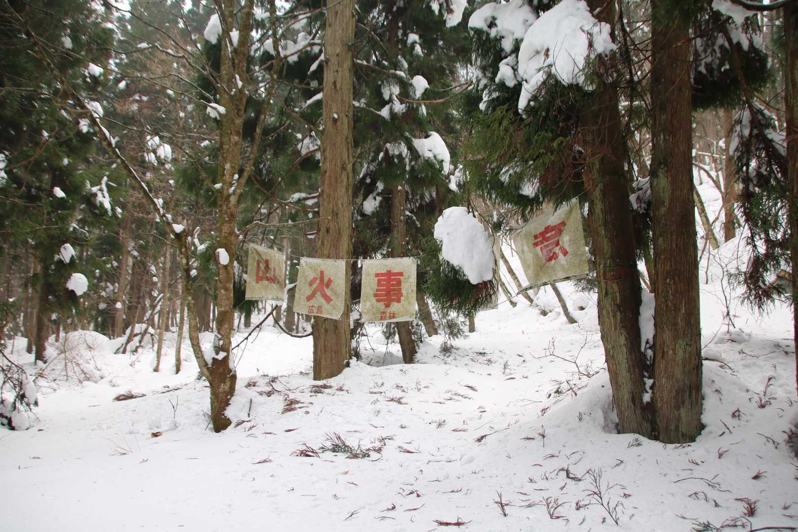 暖簾くぐって行きたくなるけど間違いです。