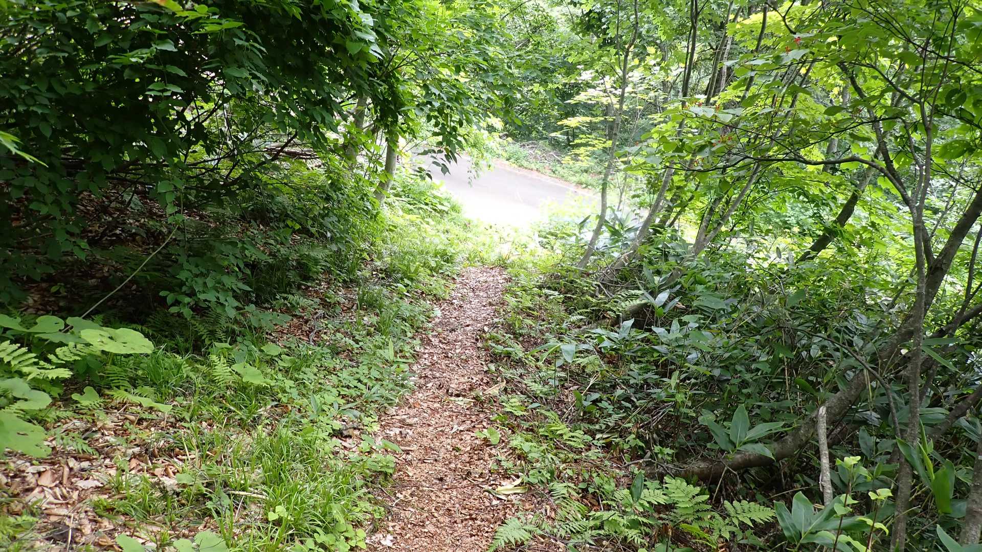 無事下山