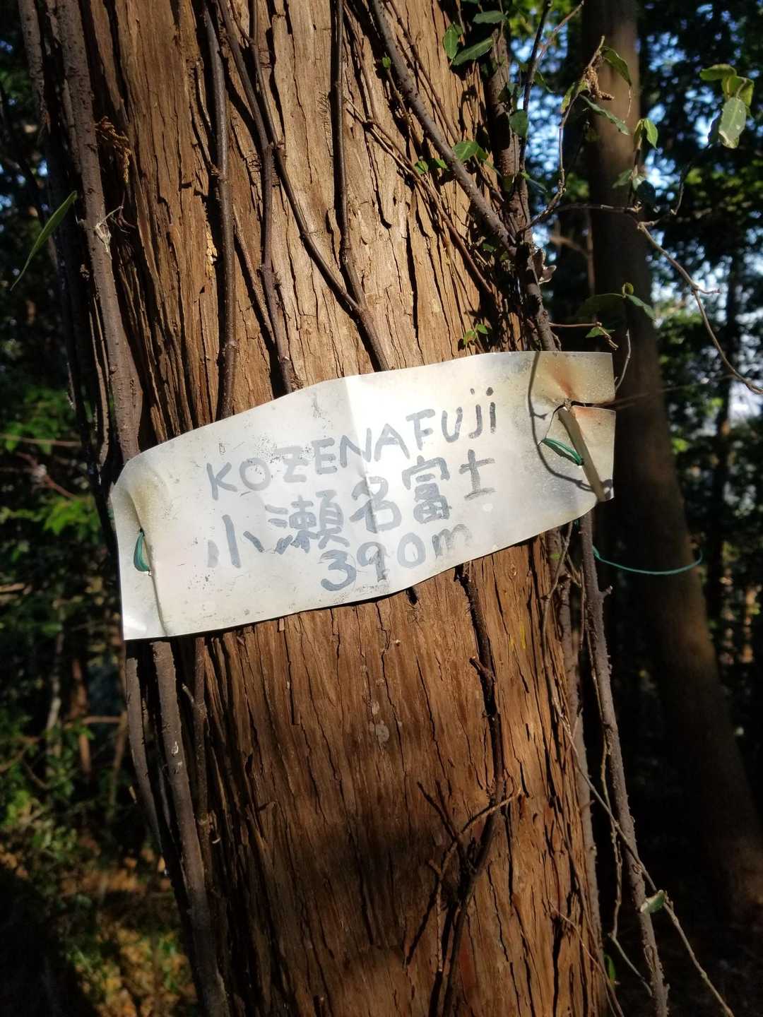 小瀬名富士-小瀬名富士登山口 往復コースの写真
