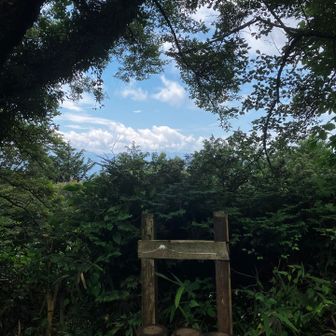 こちらです。　富士山は残念、雲の中
