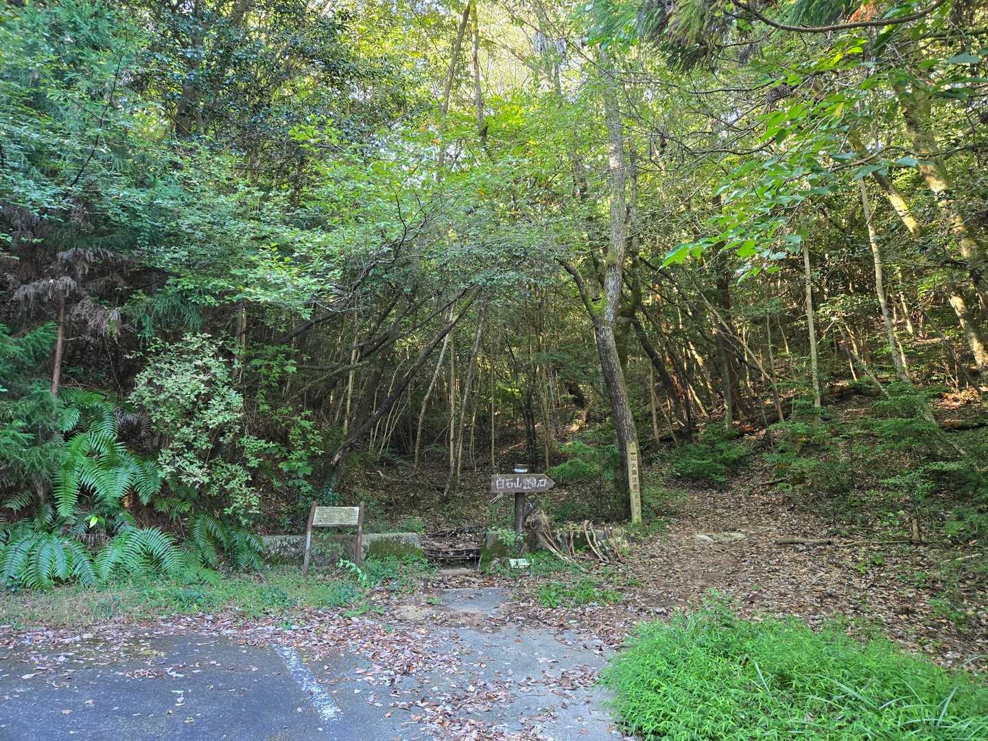 白石山登山口-白石山 往復コースの写真