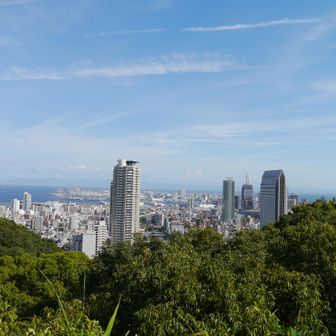 見晴台から