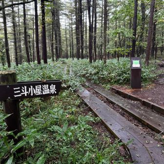 道間違った😫
予定と逆走しようかとなったけど、帰りに麦飯坂を通るのは怖くて嫌なので、引き返すことに🧸