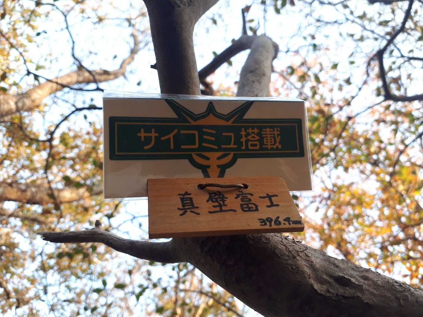 眺望はなし。