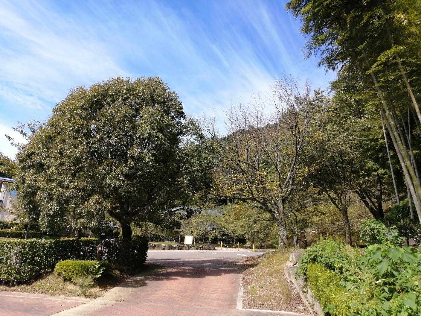 駐車場は、たくさんクルマ停められます🚗