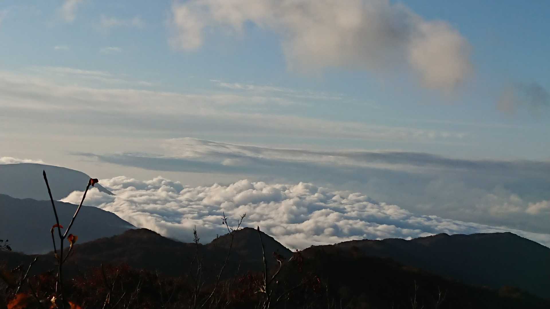 おー雲海。