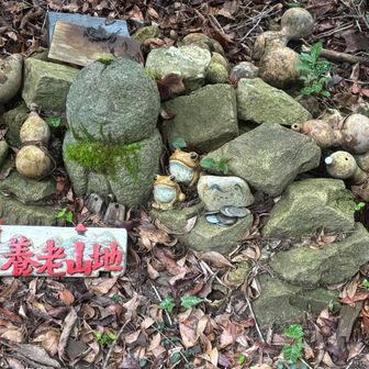 養老山頂
