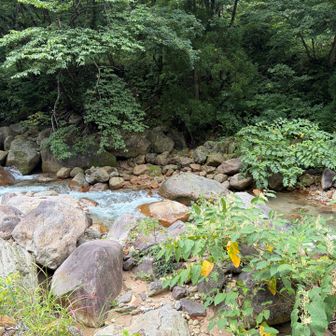 さ、今日の本丸、滑川大滝に行こ行こー