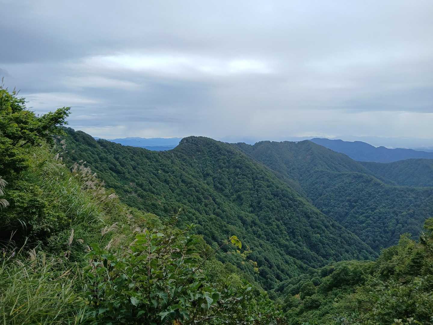 遠くに見えるのは守門岳かな？