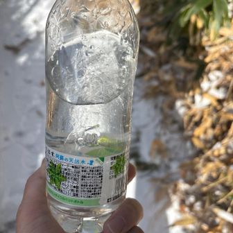 頂上で水凍った