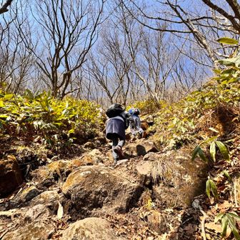まーまーな急登つづくー。