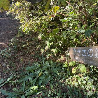なぎさの鐘へ

ここは急な下り坂なので自転車は置いて

歩いて行きます…🚶‍➡️…🚶‍♀️‍➡️