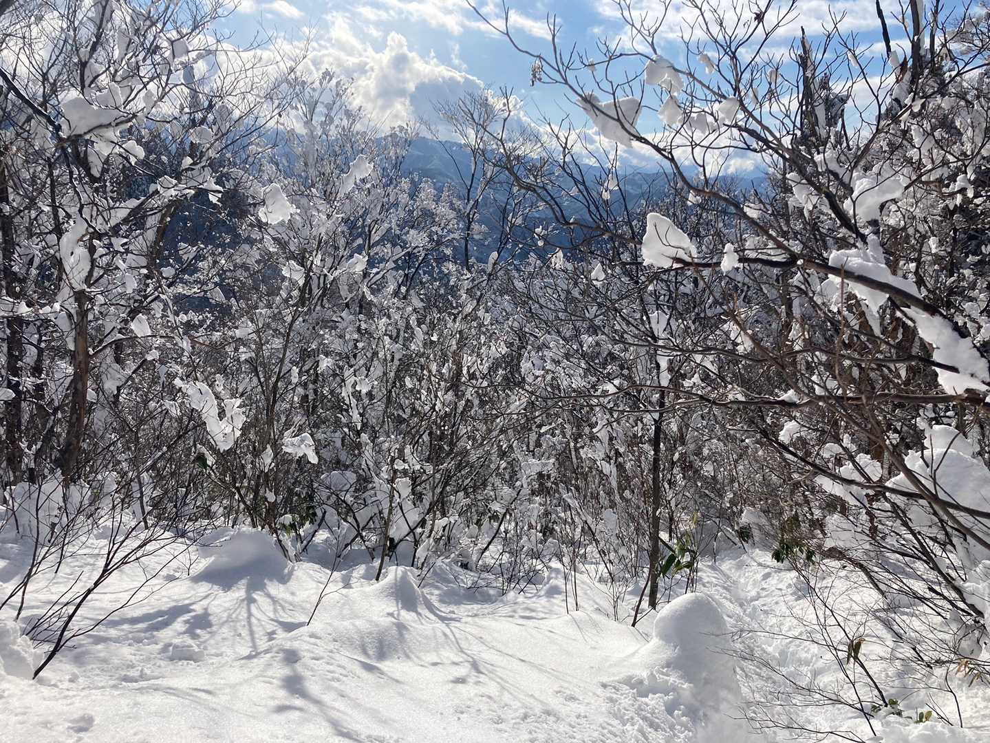 大丸山登り口-大丸山 往復コースの写真