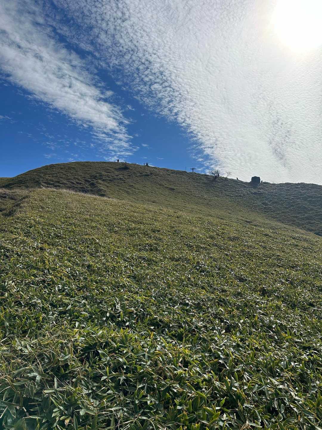 山頂付近はクマザサに覆われています
笹のみどり青い空に白い雲💚💙🤍