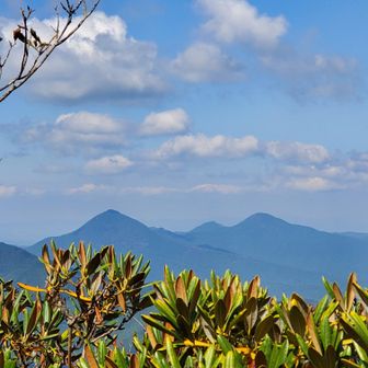 大洞山と尼ヶ岳が美しく見渡せます👀
手前の山は方角的に古光山かな？